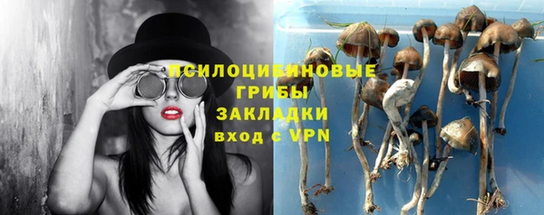 мяу мяу мука Арсеньев